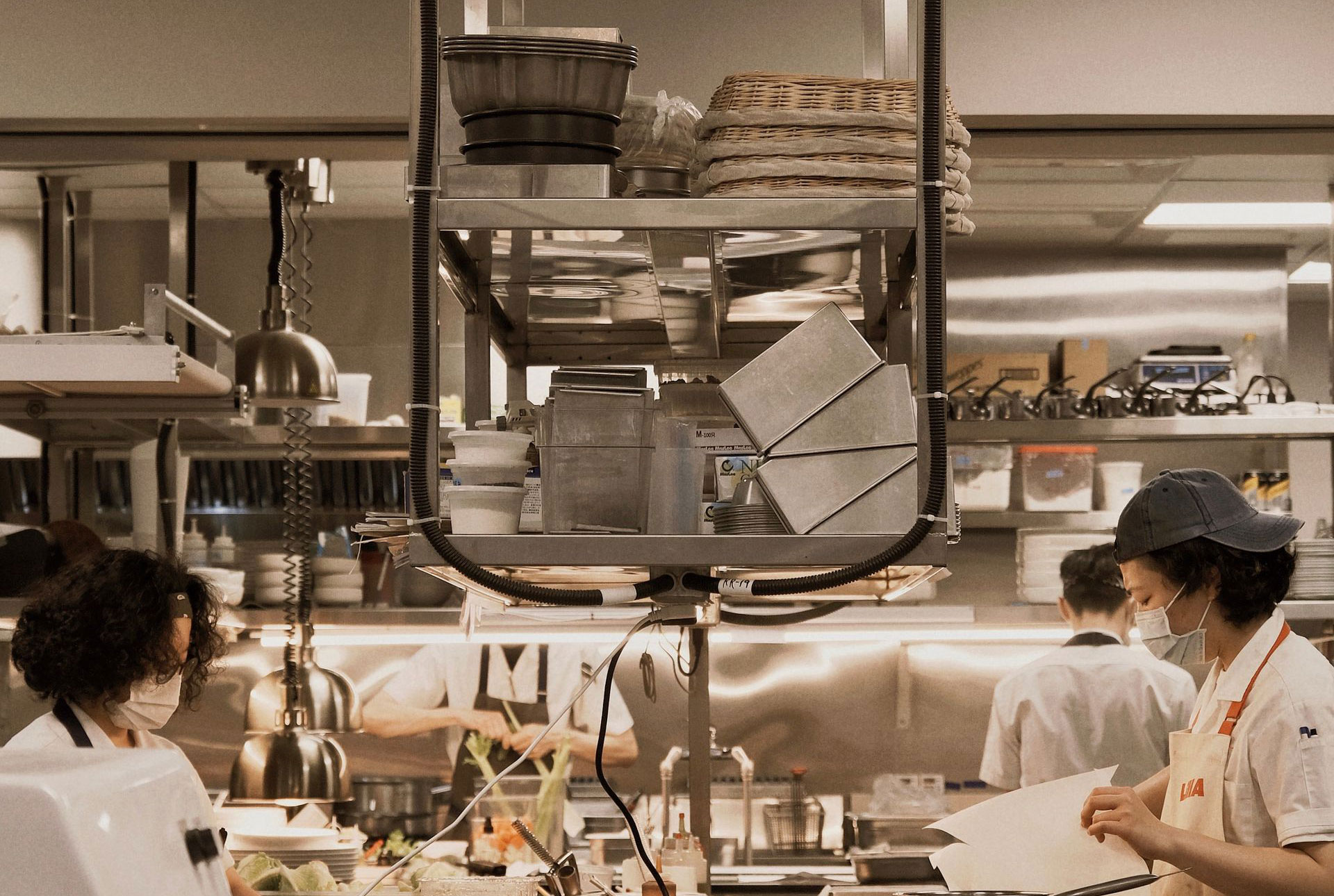 Keeping Your Kitchen Pest-Free: A Monthly Guide for Commercial Success